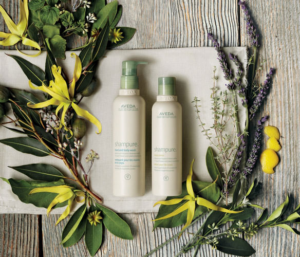 Aveda introduces Shampure Body Care Collection.