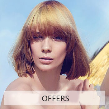 Offers Offers