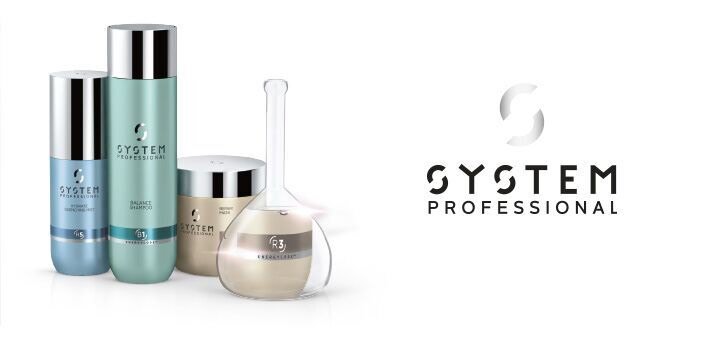 System Professional Energy Code