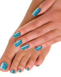 extra-jungle-fever-aqua
