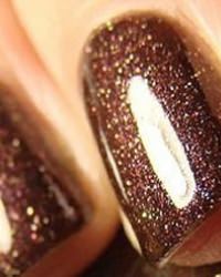 shellac-rockstar