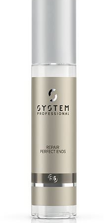 R6---Repair-Perfect-Ends